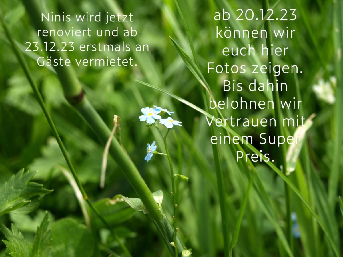 Ninis - Ferienhaus Im Bregenzerwald เอค ภายนอก รูปภาพ